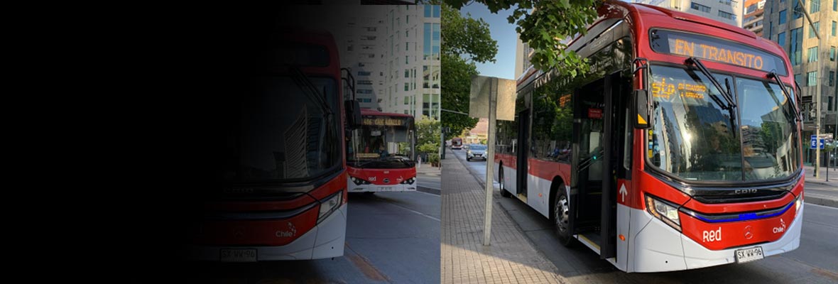 Bus Brasileño